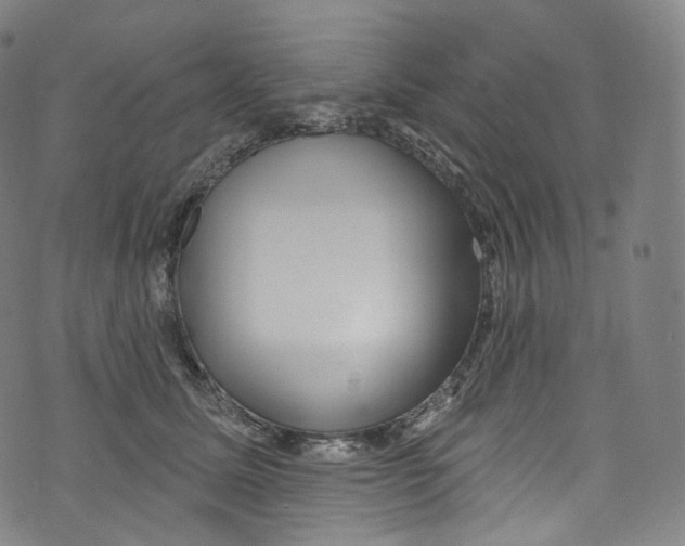 X0000072990611200608211517