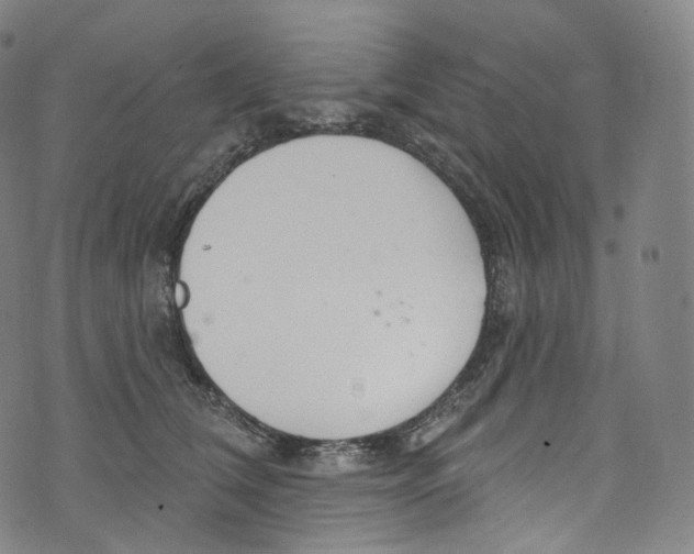 X0000072990612200608211517