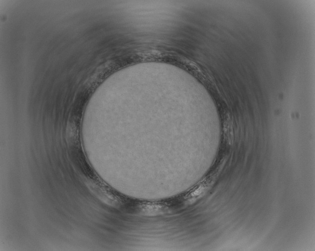 X0000072990614200608211517