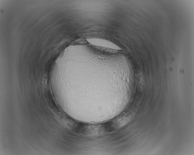 X0000072990615200608211517