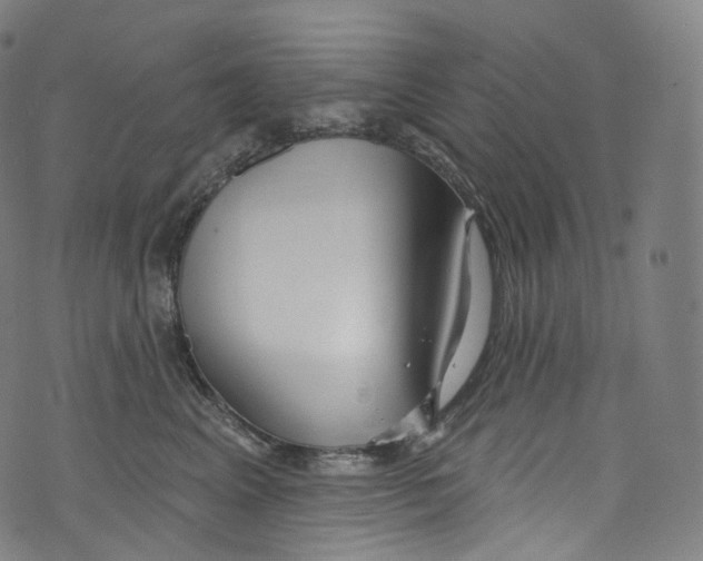 X0000072990617200608211517