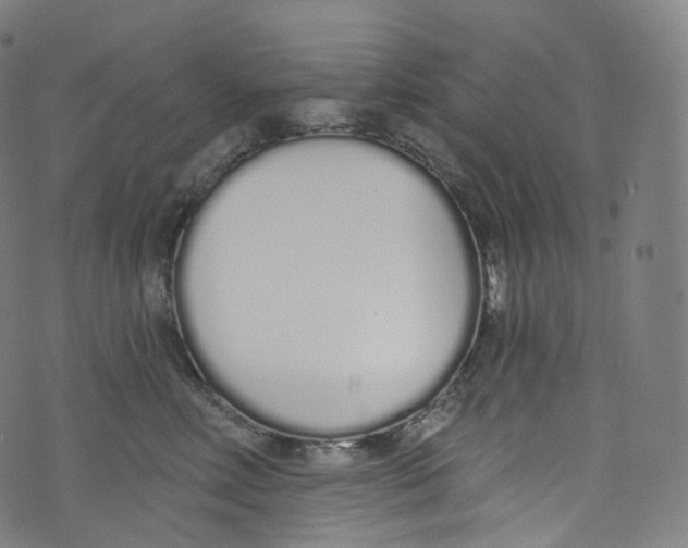 X0000072990618200608211517