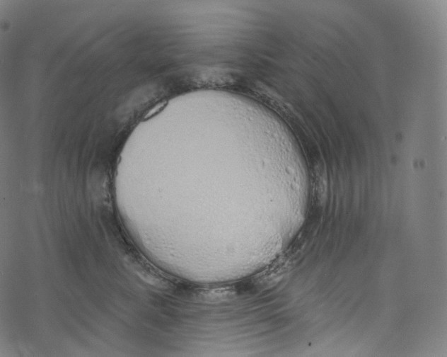 X0000072990619200608211517