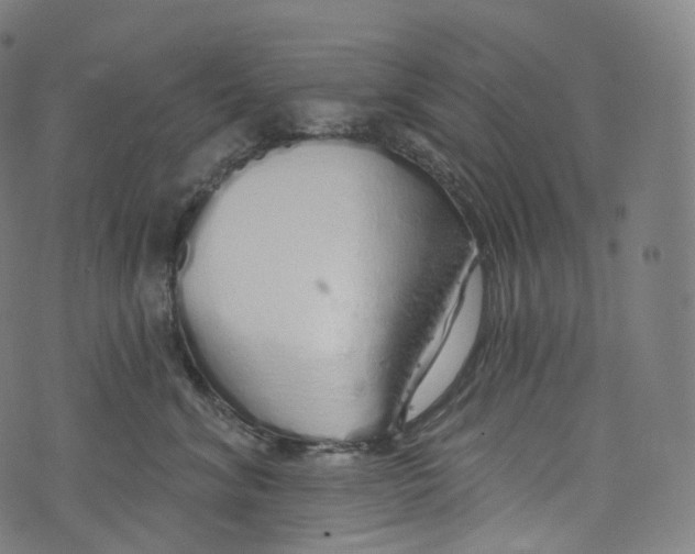 X0000072990620200608211517