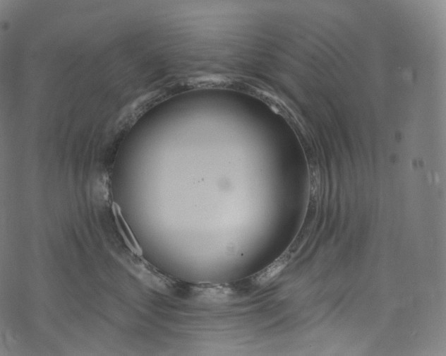 X0000072990621200608211517