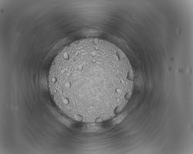 X0000072990622200608211517