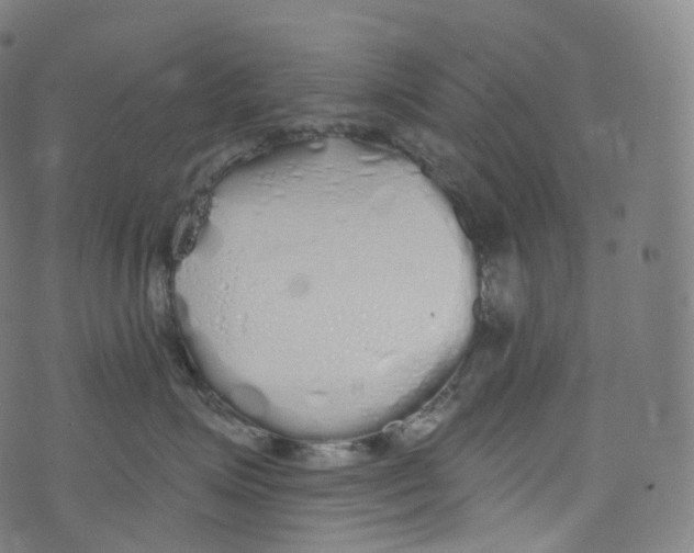 X0000072990623200608211517