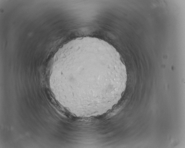 X0000072990624200608211517