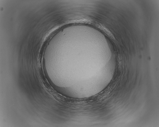 X0000072990628200608211516