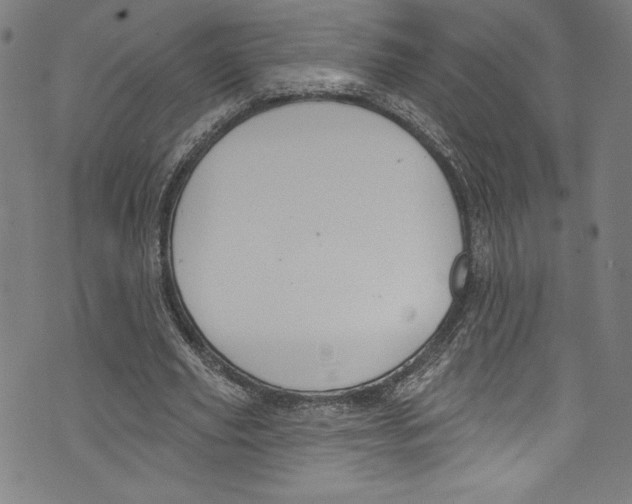 X0000072990629200608211517