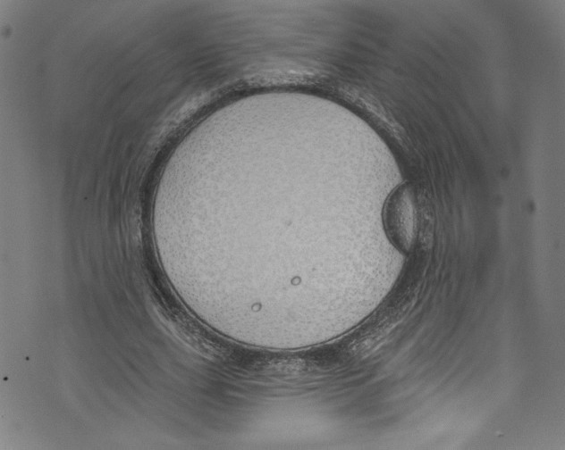 X0000072990631200608211517