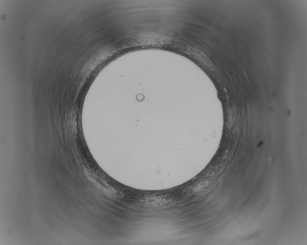 X0000072990632200608211517