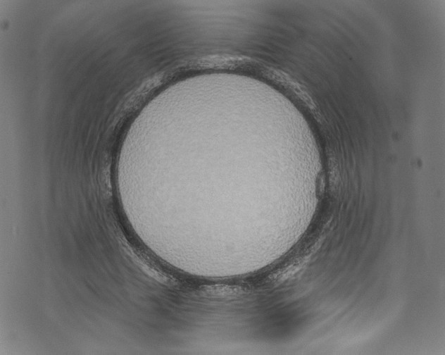 X0000072990633200608211517