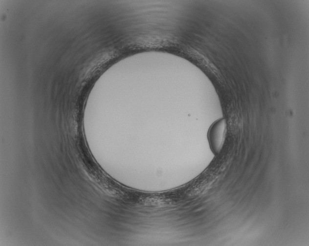 X0000072990635200608211517