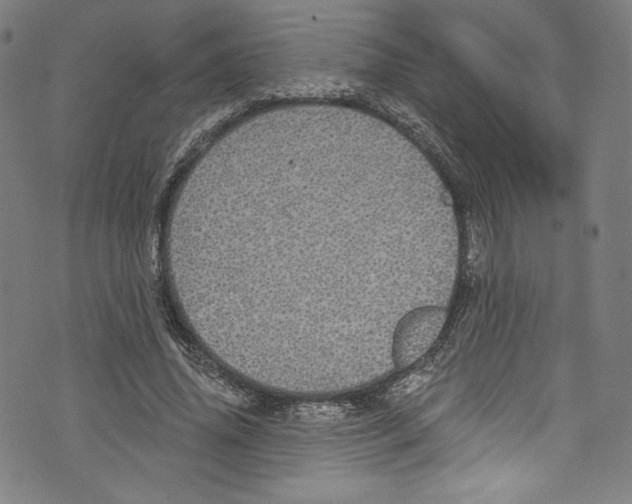 X0000072990636200608211517