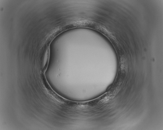 X0000072990637200608211517