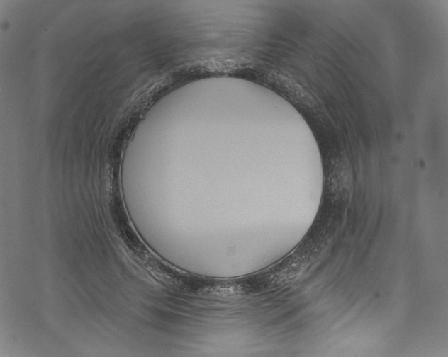 X0000072990639200608211517