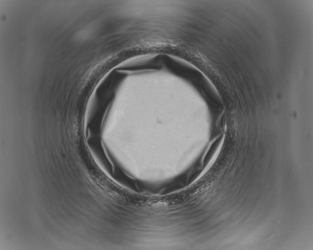 X0000072990640200608211517