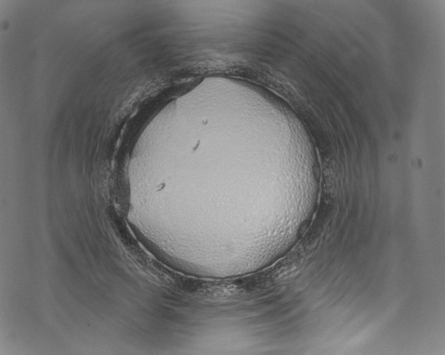 X0000072990642200608211517