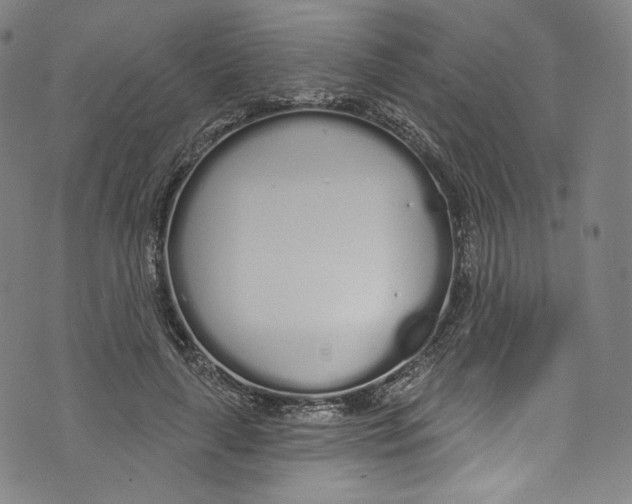 X0000072990643200608211517