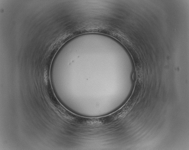 X0000072990644200608211517