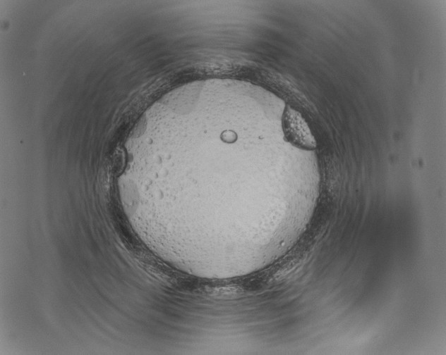 X0000072990645200608211517