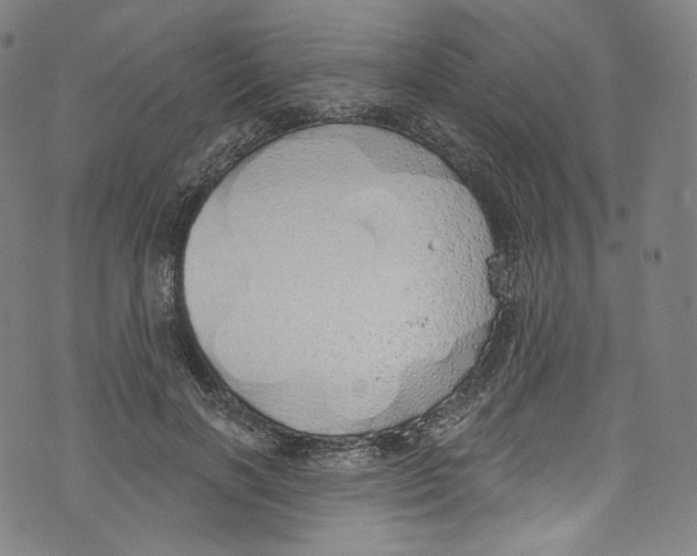 X0000072990646200608211517