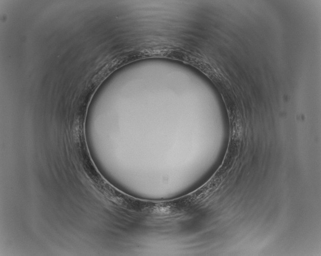 X0000072990647200608211517