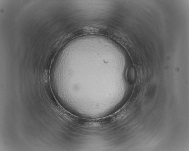 X0000072990649200608211517