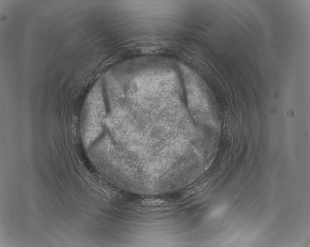 X0000072990650200608211517