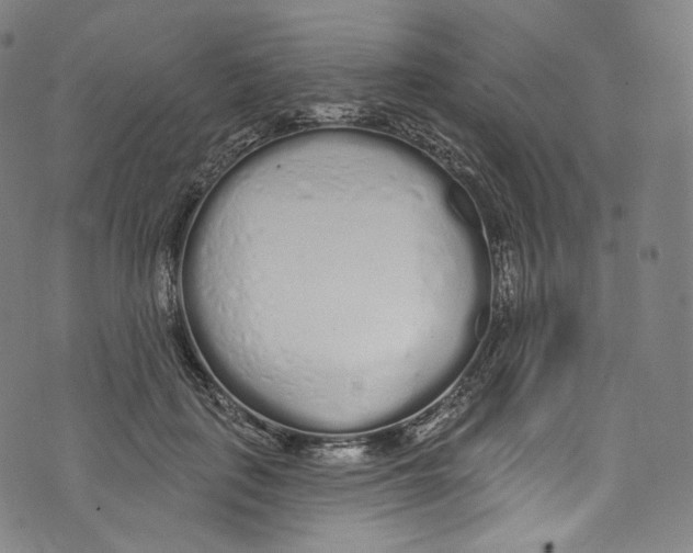 X0000072990651200608211517