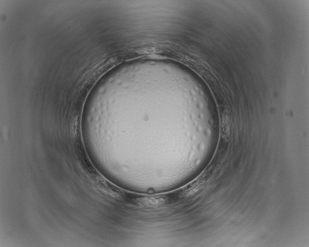 X0000072990652200608211517