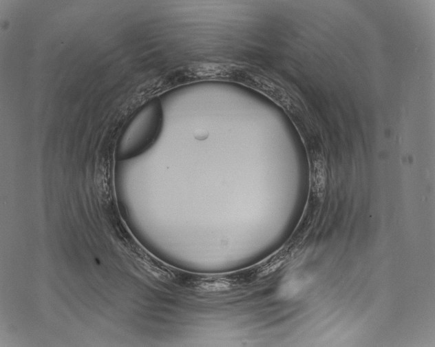 X0000072990653200608211517