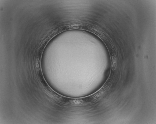 X0000072990654200608211517