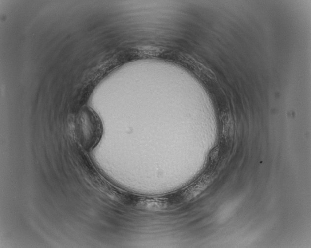 X0000072990655200608211517