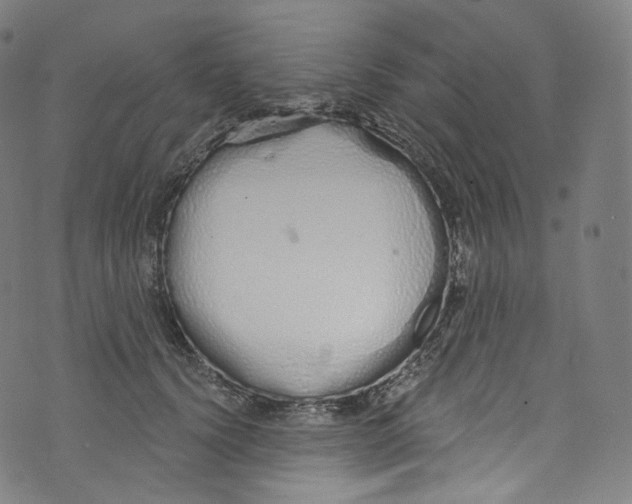 X0000072990656200608211517