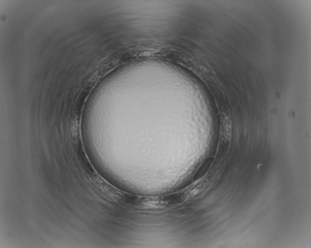 X0000072990657200608211517