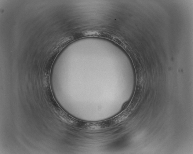 X0000072990658200608211517