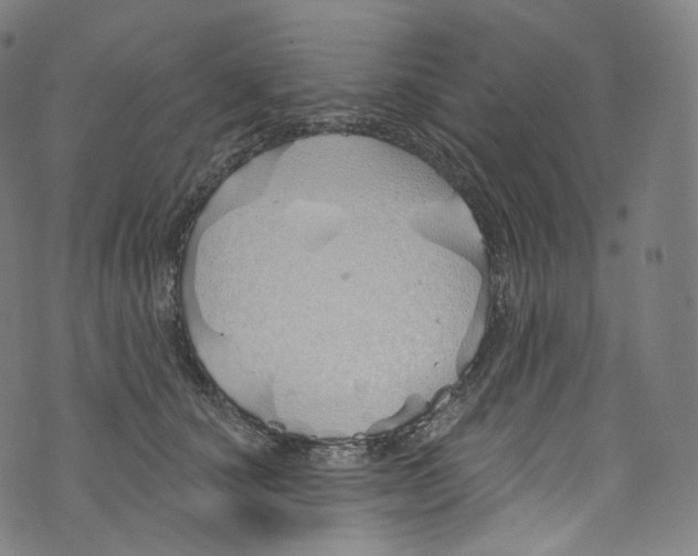 X0000072990660200608211517