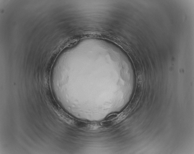 X0000072990662200608211517