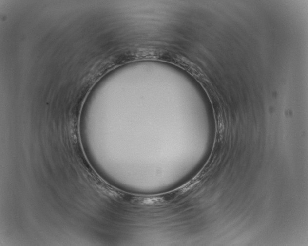 X0000072990663200608211517