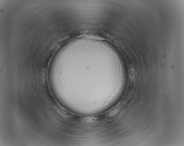 X0000072990664200608211517