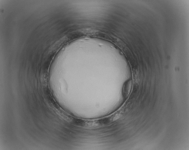 X0000072990666200608211517