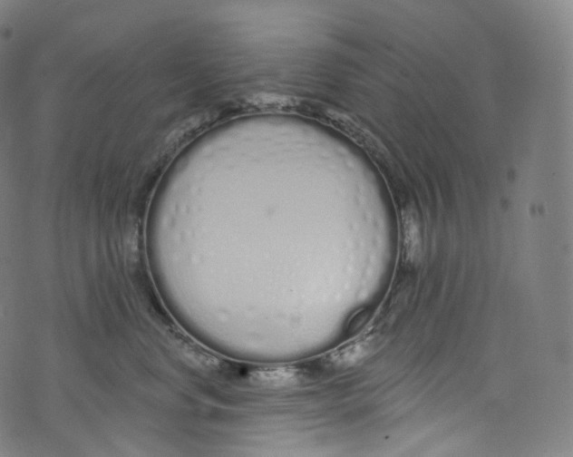 X0000072990668200608211517