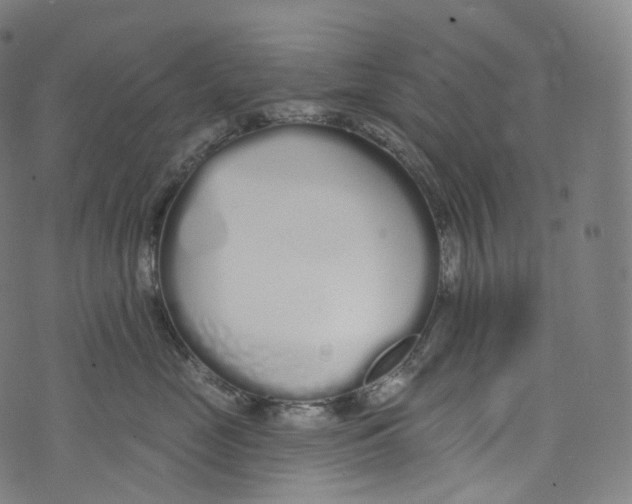 X0000072990669200608211517