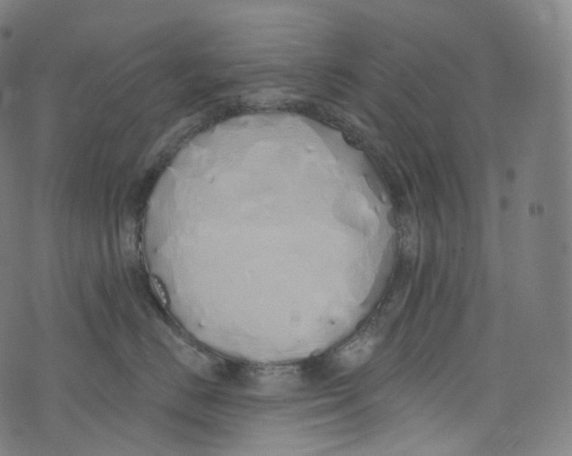 X0000072990670200608211517