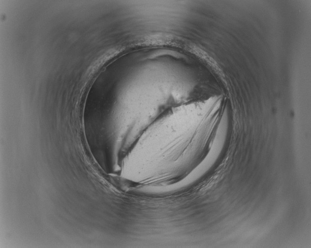 X0000072990673200608211516