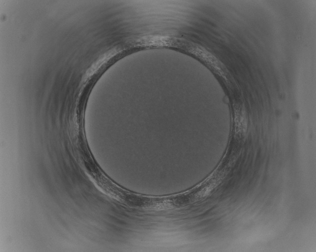 X0000072990674200608211516