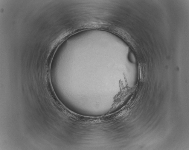 X0000072990675200608211516