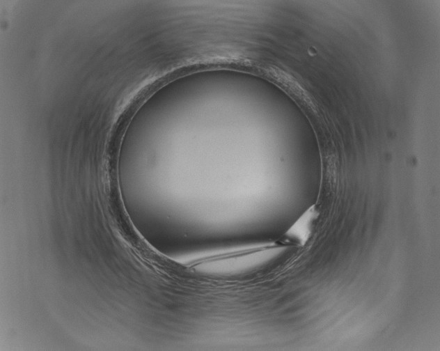 X0000072990676200608211516